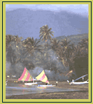 ecopic01.gif - 7.80 Kb