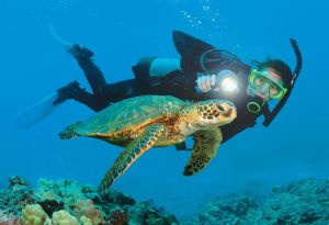 Tourist Attractions In Bali Indonesia